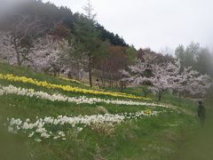 道南沿岸めぐり