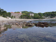 今井浜海岸の磯遊びと幕末の舞台下田散策