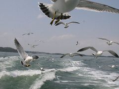 予想以上に復活していた大震災後５８日目の松島