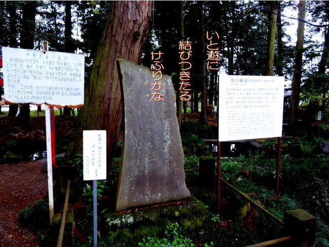 奥の細道を訪ねて[第2回]⑩大神（おおみわ）神社 in 栃木県栃木市惣社町