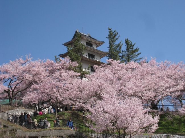 2009年は花見にいくことができませんでしたので2010年は東日本の桜の名所をまわれるだけまわろうと決意し、今回はその第一弾です。