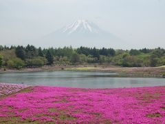 富士山　芝桜　＆　本栖湖、精進湖