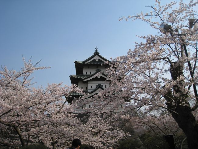 2009年は花見にいくことができませんでしたので2010年は東日本の桜の名所をまわれるだけまわろうと決意し、今回はその第三弾です。<br /><br />2011年は3月11日に発生した東日本大地震の影響で人出もすくなく活気がなかったといわれています。<br />一日も早い復興がはじまり、日本一といわれる桜を見に多くの人が訪れ活気が戻ることを祈念させていただきます。<br />