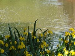 東京散歩　日比谷公園でランチ