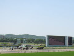 子どものための東京競馬場