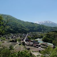 のんびり散策白川郷そして水と踊りの城下町へ