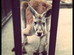 春の多摩動物公園