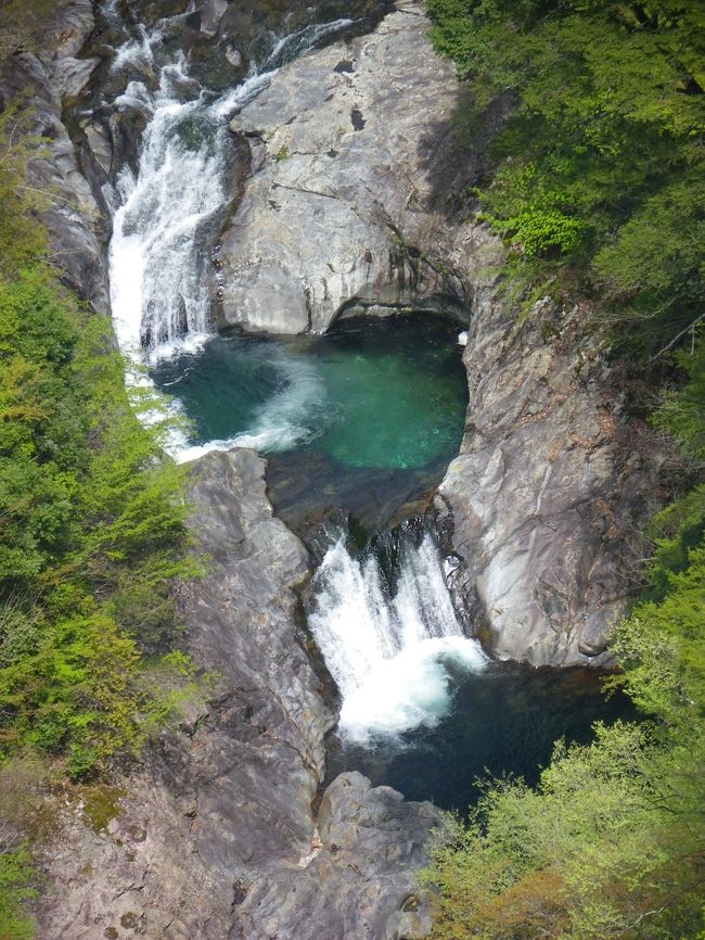 大塔の「宮の滝」から次に向かったのは、十津川の支流・旭川の上流にある滝群です。<br />「谷瀬の吊り橋」の少し北にある林道を東進すると「旭ダム」があり、その奥に幾つかの滝が点在しています。<br />「旭ダム」から先の林道はとても狭く、途中からは未舗装道になっています。<br />その分、訪れる人も少なく、水の透明度は抜群！<br />元々奈良県南部の川はどこも透明度は高いのですが、その中でも群を抜いているように感じました。