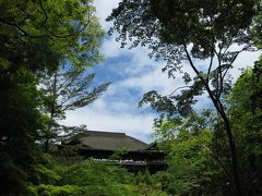 ●関西の旅2011.5　③新緑の京都(1)●