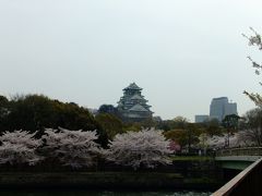 近所へお花見、天気イマイチだけど・・・！