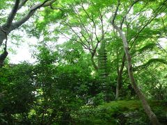 新緑の京都を訪ねて、南禅寺から瑠璃光院へ♪♪