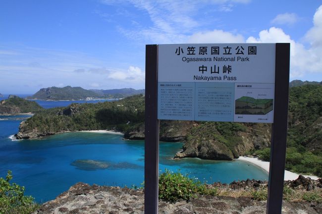 父島のビーチ巡りとか観光スポットとか行けるとこまで行ってみた。