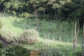 茨城百景石碑巡りの旅（１７）　　花貫渓編