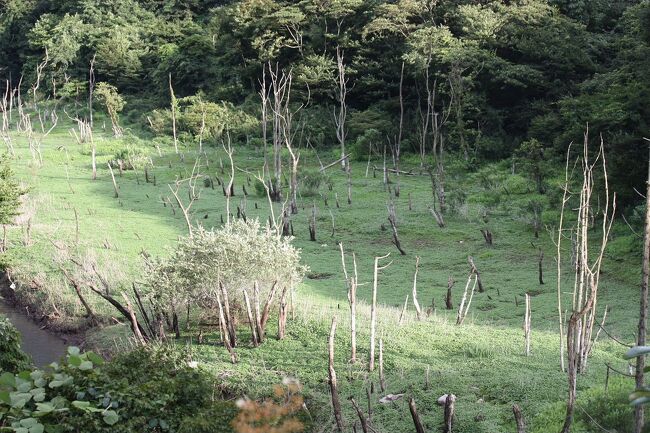 　友人に誘われて、ローカルな「茨城百景石碑巡りの旅」を楽しんできました。<br />今回の石碑巡りは、「茨城百景・花貫渓」です。<br /><br /><br /><br />