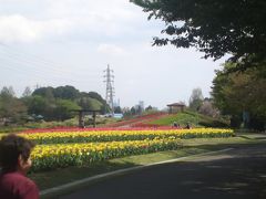 大宮花の丘は、穴場だな