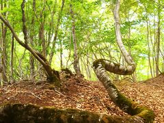 百里ヶ岳 　～　思わぬものに感動　～