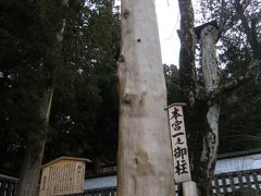 2011  万座で温泉三昧をした帰り　寅年の昨年、御柱祭が行われた諏訪大社へ　お参りです。
