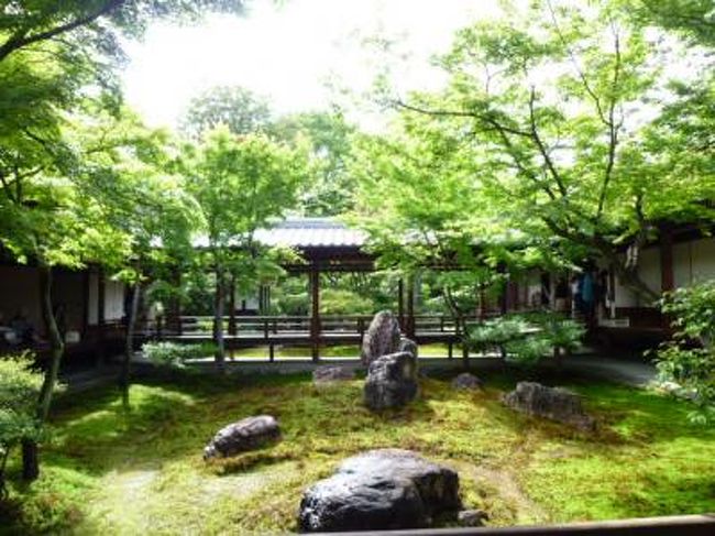 2011年5月21日（土）～22日（日）　京都へ1泊旅行♪<br />京都・祇園で美味しいグルメと和オーペルジュ宿泊。<br />祇園をたっぷりと堪能しました♪<br /><br />☆Ｖｏｌ３　5月21日（土）午後☆<br />鴨川沿いにあるイタリアン「イル　ギオットーネ　クチネリーア」で優雅にランチしたあと、鴨川から祇園へ散策♪<br />旅館へ行く前に寄り道。<br />祇園にあり建仁寺を観光。<br />実に30年ぶり♪<br />でも、修復工事のため、有名な白い砂の庭がみられず、残念。<br />でも、新緑みずみずしいお庭が素晴らしい。<br />しばし、京都の歴史に触れて。