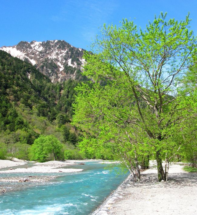 3000M級の山々が手に届きそうな標高のお天気は、本当にミラクル☆<br /><br />梅雨入りし、ここに来るまでの山道は霧雨とガスで、少し先さえ全然見えなかったのに・・。<br /><br />こんな見晴らしに遭遇することができました!<br /><br />新緑の季節を迎えた上高地。<br /><br />せっかくクリアに撮れたから、この夏行かれる方々のために、文章もちゃんとガイドらしくしなきゃね。