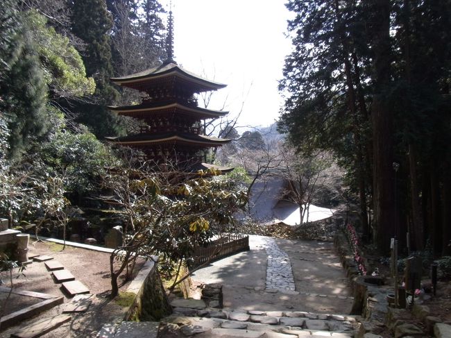 体調不良で、初日の京都観光を早々と切り上げて、ホテルで休養(*´つω・｡) <br />2日目の奈良編を迎えました。<br />おかげで、体調はやや回復!(*´ー｀喜)<br />奈良へ颯爽と出かけていきました。<br />今回の奈良は、定番の奈良公園・東大寺・春日大社・鹿・興福寺へはいかず<br />少し奈良市内を離れて、郊外へ出かけることに((o(★・∀・)o))<br />なんだかんだ、奈良は奈良公園周辺と中学時代の法隆寺しか行ったことがなかったので、心はウキウキでした!<br />有名な古刹が、まだまだたくさんある奈良県への大きな一歩を踏み出しました( ´艸｀)<br />では、どうぞ♪