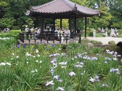 城北（しろきた）菖蒲園へ