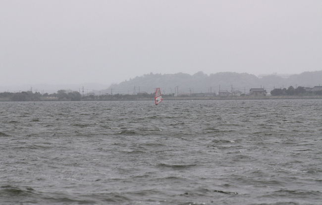 潮来市徳島の外浪逆浦に、見た事のない鴨が出ているとの情報があり、調査に行って来ました。<br />謎の鴨さんはシマアジという渡り鳥でした。<br />私が潮来市内で見たのは、これで２例目です。<br /><br />表紙写真は、外浪逆浦の風景です。<br /><br />※ 2017.01.19 位置情報登録