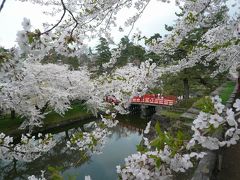 2011ＧＷ～満開の桜に包まれた弘前公園