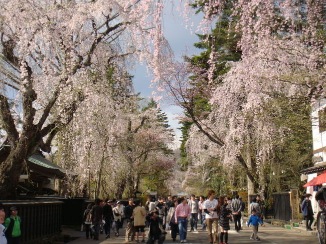 仔猫といっしょ計画（秋田旅行２０１１　２日目 角館編）