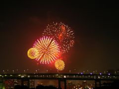 【東京都（台場）】江戸の花火「東京湾大華火祭」