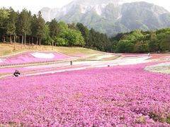 春の秩父路小旅行