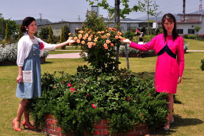 県内最大の切りバラ産地・安八郡神戸町へ<br />バラ祭りｉｎごうど　2011<br />寒さで咲きが遅く、去年と比較にならない<br />続いて近くの<br />バラまつり大野2011<br />ここも、咲いてませんでした。<br /><br />今年の薔薇巡り・・気に入った順からアップします。<br />2011.05.15 バラ祭りｉｎごうど　2011<br />2011.05.15 バラまつり大野 2011<br />2011.05.21 なばなの里　薔薇求めて2011<br />　　　　http://4travel.jp/traveler/isazi/album/10571163/<br />2011.05.22 花フェスタ記念公園薔薇2011<br />　　　　http://4travel.jp/traveler/isazi/album/10569905/