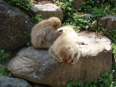 地獄谷野猿公苑と雪残る万座高原