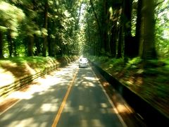 奥の細道を訪ねて[第3回]今宮神社より日光まで　（目次）