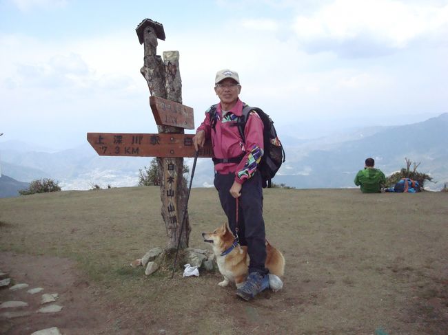本日白木山に1000回目登山達成の人がいる。で、その記念すべき日に頂上で賛同者一同が記念撮影をする。と言う。Mr. Mはそれに参加。で、参加しないMrs. Mのお供ではじめての登山です。<br />ちなみに祝賀会は「白木ファーム」で行われた。そうです。<br />僕の記録<br />白木山(889.8m)白木駅からのルート(標高差820m)登山&下山記録<br />標準登山所要時間 2時間 ⇒ 僕の登山所要時間 2時間30分<br /><br />登り<br />時刻 <br />8:00 JR芸備線 白木山駅 着<br />8:10 登山口 登山開始<br />8:30 二合目 頭馬 背ノ馬<br />8:50 展望台<br />9:00 三合目。「獅子ノ門」<br />9:20 四合目。「勢至観音」<br />9:37 六合目。「桜ノ馬場」<br />9:50 七合目。「営門ノ段」<br />10:00 水のみ場 (湧き水)<br />10:20 Mr. &Mrs.Yと会う<br />10:25 九合目<br />10:40 頂上 三角点<br /><br />降り<br />時刻 <br />11:20 下山開始<br />11:50 水のみ場 (湧き水)<br />12:15 五合目。「天主ノ段」<br />12:30 四合目と三合目の間<br />釈迦ノ段<br />12:55 穴地蔵<br />13:00 二合目<br />13:15 登山口到着<br />