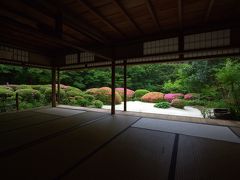 京都を歩く(94) サツキ鮮やかに咲く詩仙堂 