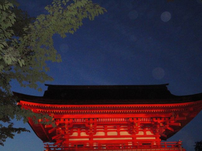 ＰＣ復旧後第一弾。勇んで下賀茂神社蛍火の茶会に出かけたものの、人の多さに圧倒されて帰宅しました。