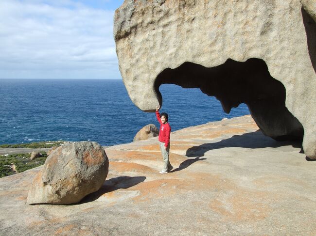 カンガルー島 オーストラリアにある小さな南の島。<br />ドライブ旅行 今年はオーストラリアをメルボルンからパースまでレンタカーを利用して旅行しました。途中、アドレードから飛行機でカンガルー島に渡りました。<br /><br />4月26日メルボルン、グレイト・オーシャン・ロード、ポート・フェアリー泊<br />4月27日マウントガンビア、ブルーレイク、キングスコート泊<br />4月28日カンガルー島、アドレード泊<br />4月29日セドゥナ泊<br />4月30日グレートオーストラリア湾、バラドニア泊<br />5月1日エスペランス、Pink Linek、レベーズソープ泊<br />5月2日ウェーブロック、パース泊<br />5月3日ピナクルズ、スワンリバー、ノーサム泊<br />5月4日バッセルトン、フリーマントル<br />と巡った。<br />100キロ以上民家がなくどこまでいっても続く道。<br />普通の道でも時速110キロが制限速度でなれないとこわい。<br />ぜんぜん変わらない風景。<br />オーストラリアは広大でした。<br />