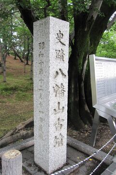 2011梅雨、鶴舞公園の紫陽花・八幡山古墳(2/2)：八幡山古墳の外周散策、未央柳