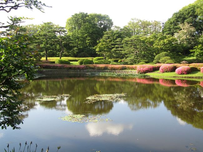 ６月８日、二の丸庭園を午後３時頃訪問後、本丸跡の周辺を見て回った後にもう一度、午後４時３０分頃に再度訪問した。　目的は見過ごした風景を見ることと太陽光の光線具合がかなり変わったことによる風景の変化をみるためである。　１時間半後では二の丸庭園はかなり変わって見えた。 光と影ができていて、スポットライトを浴びたようにサツキ、花菖蒲が美しく見えた。<br /><br /><br /><br /><br />＊写真は二の丸庭園の池に映る美しいサツキの花