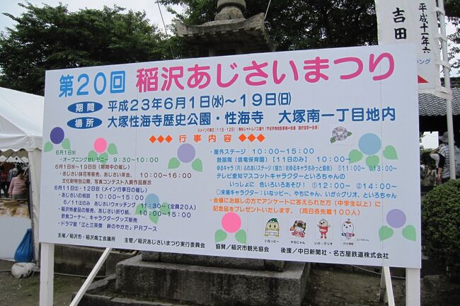 2011梅雨、性海寺の紫陽花(1/4)：伊奈紅手鞠、紅手鞠、湖畔、青海、花吹雪