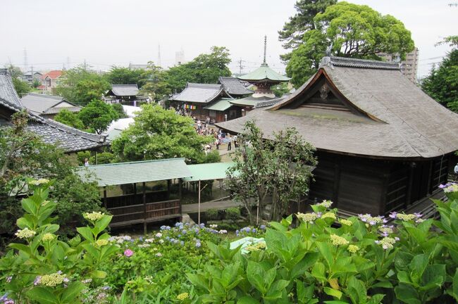 2011梅雨、性海寺・大塚古墳(2/2)：アジサイの名所、鐘楼、大塚山古墳