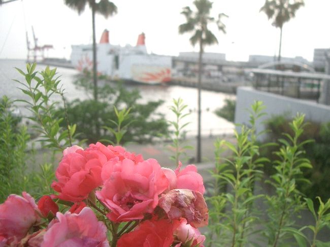 九州旅行の第一歩は大阪南港ATCから別府観光港まで関西汽船のフェリーさんふらわあに乗船。快適な旅でした。