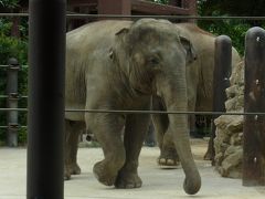 来た来た！上野動物園