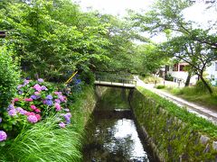 子どもと一緒に歩く、紫陽花咲く哲学の道