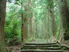 紀伊半島を行く　（２）　瀞峡・熊野速玉大社・那智の滝・熊野那智大社・青岸渡寺・熊野古道大門坂・勝浦温泉