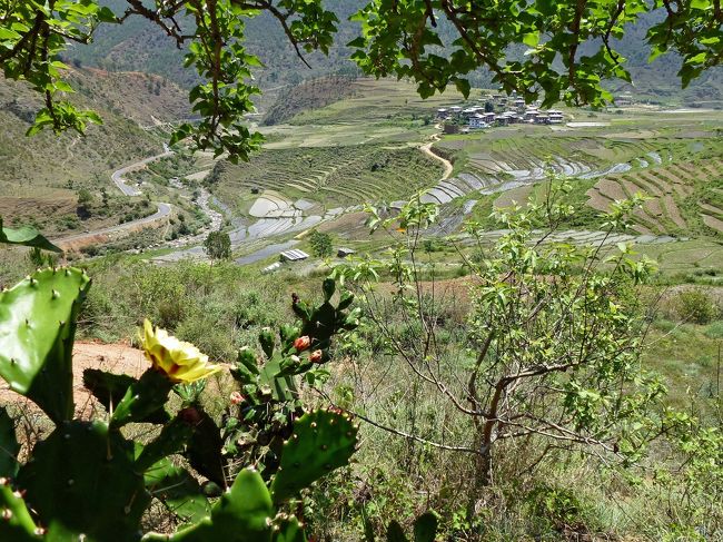 J旅行社の１１日間ツアーにて、しあわせ・・本当の幸せを見つけにブータンを訪れました。表紙の写真は、プナカ手前の谷あいに広がる棚田風景。日本にもあるような田舎風景と黄色いサボテンの花に出会えてとても幸せな気分になりました