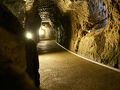 島根　しまね海洋館アクアスと石見銀山