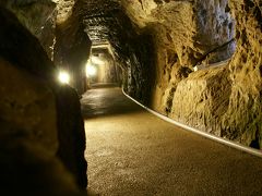 島根　しまね海洋館アクアスと石見銀山