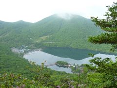 つつじ爛漫上州赤城山　花の山旅～♪