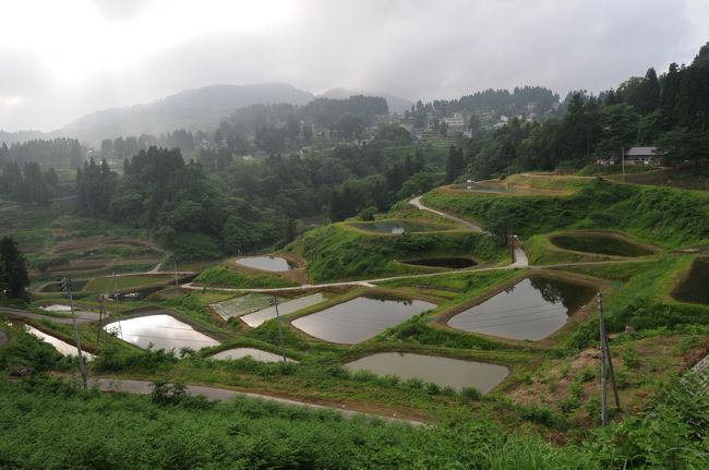 越後丘陵公園の帰り道に、中越地震で大きな被害を受けたことで知られる旧山古志村に行ってみました。棚田が美しいことと鯉の養殖が有名という漠然としたイメージで行ったのですが、急峻な地形が続く道を山奥まで分け入り、そこに広がる山上集落の美しさに圧倒されました。<br />出かけたのが東日本大震災の丁度3ヶ月目の当日でした。復興を成し遂げた山古志闘牛場、中越大震災跡の木篭地区など、目にするもののそれぞれが大変に感動的でした。<br />中越地震で道路が寸断されて避難された方の仮設住宅が長岡ニュータウンの越後丘陵公園に隣接する場所にあったりしましたので、震災と復興を考える一日となりました。